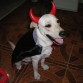 ESTE GUAPETON ES MI PAPITO 